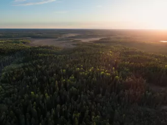 Hållbarhet och Sharp